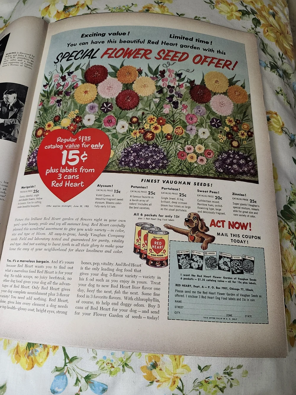 Life Magazine this original